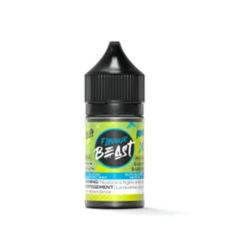 Flavour Beast E-Liquid - Blessed Blueberry Mint (20mg/30mL )