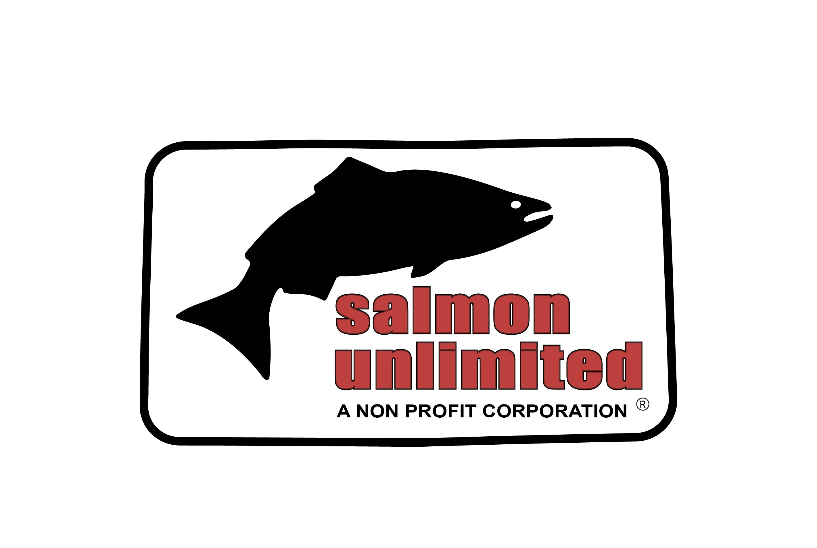 fish-lake-co-conservation-salmon-unlimited