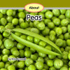 About Peas - Level E/10