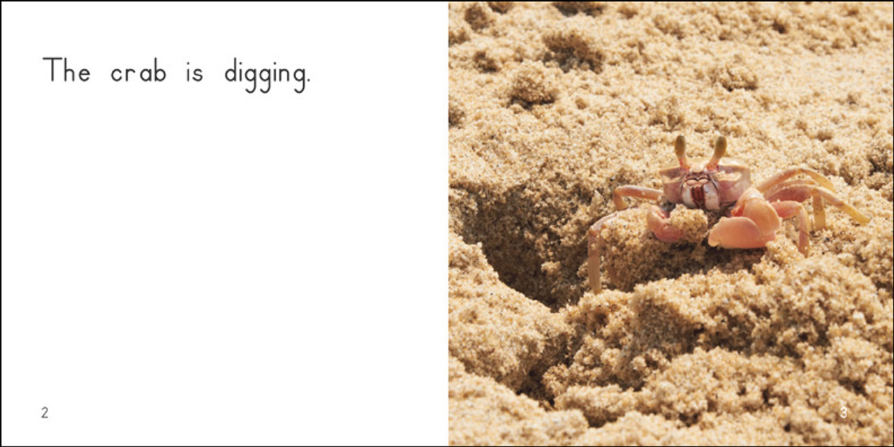 About Crabs Level A/1 RR Books