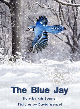 The Blue Jay Shop