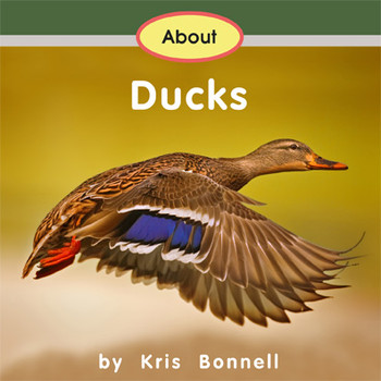 About Ducks - Level A/1