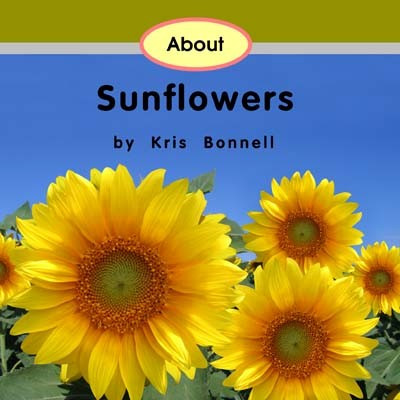 About Sunflowers - Level E/7 - RR Books