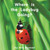 Where Is the Ladybug Going - Level D/4