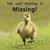 The Last Gosling is Missing - Level E/7