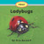 About Ladybugs - Level E/11