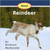 About Reindeer - Level F/9