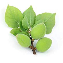 Kakadu Plum Magnesium Oil Spray