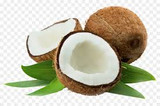 Coconut Oil Fractionated