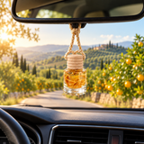 Abundant Energy Car Diffuser