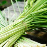 Wild Lemongrass