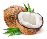 Tropical Coconut Massage Oil