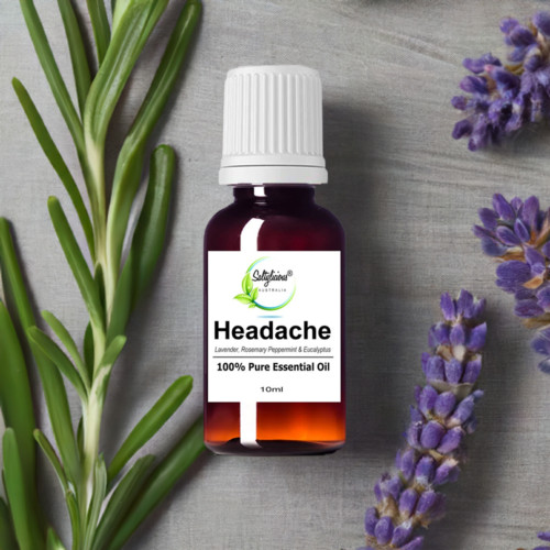 Headache Essential Oil Blended