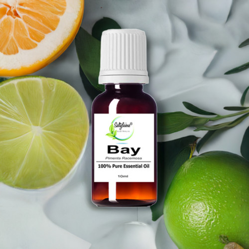 Bay Pure Essential Oil
