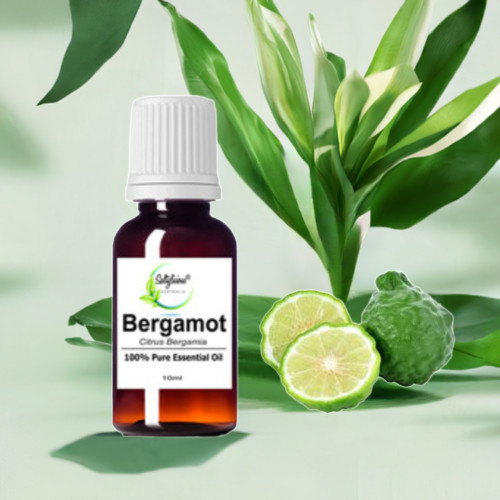 Bergamot Pure Essential Oil