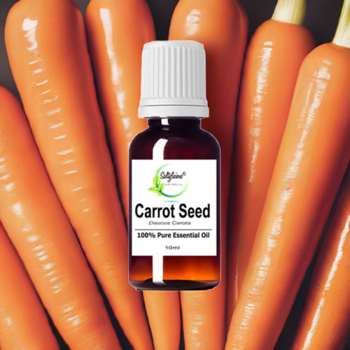 Carrot Seed Pure Essential Oil