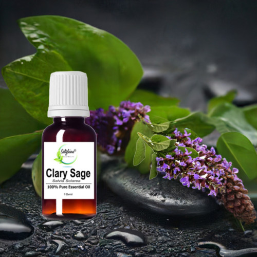 Clary Sage Pure Essential Oil