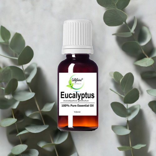 Eucalyptus Pure Essential Oil