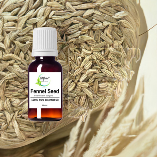Fennel Seed Pure Essential Oil