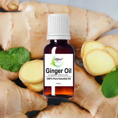 Warming Ginger Essential Oil