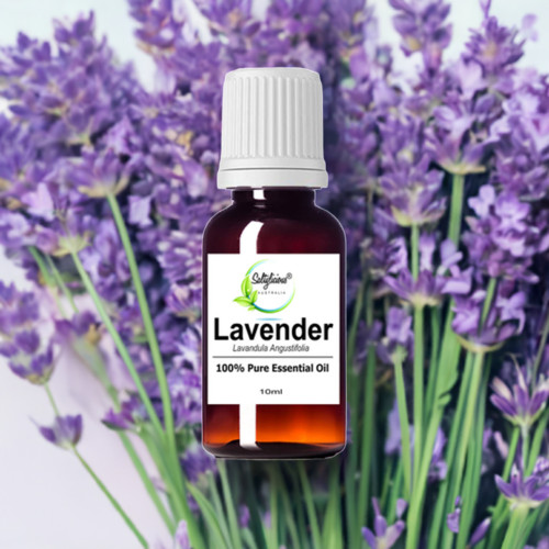 Lavender  Essential Oil