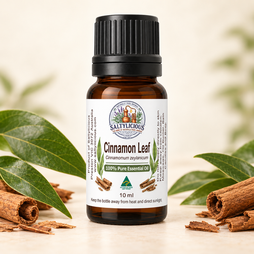 Cinnamon Leaf Pure Essential Oil Mini 10ML