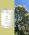 Lemon Myrtle Luxury Soy Candle