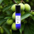 Kakadu Plum Face Serum for Men Roll On