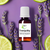 Tranquillity Essential Oil Blended