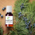 Juniper Leaf Pure Essential Oil