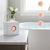 Sandalwood & Bergamot Magnesium Bath Bomb