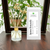 Japanese Honey Suckle Mini Reed Diffuser 50 ML