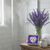 Heart Shaped Relaxation Shower Steamer