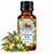 Australian Bush Fragrance Oil