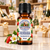 Champagne & Strawberries Mini Fragrance Oil 10 ML