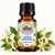 Japanese Honey Suckle Mini Fragrance Oil 10 ML