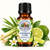 Lemongrass & Lime Mini Fragrance Oil 10 ML