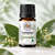Camphor Essential Oil  Mini 10ML