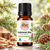 Cedarwood Essential Oil 10 ML