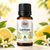 Lemon Essential Oil Mini 10 ML
