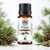Pine Essential Oil Mini 10 ML