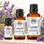 Lavender Pure Essential Oil
