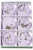 Lavender Shower Steamers
