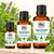 Spearmint Essential Oil