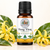 Ylang Ylang Essential Oil