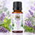 Hayfever Blend Pure Essential Oil 10 ML