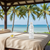 Tropical Coconut Massage Oil