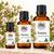 Kunzea Essential Oil