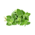 Oregano Essential Oil