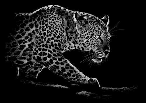 Rigby Limited Edition "The Elusive" Fine Art Leopard Print (#2 of 100)